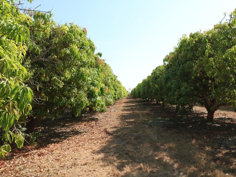 130 Emungalan Road, Katherine NT 0850