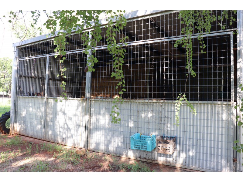 45 Ivanoff Road, Katherine NT 0850