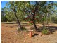 2403 Hendry Road, Katherine NT 0850