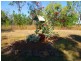 2403 Hendry Road, Katherine NT 0850
