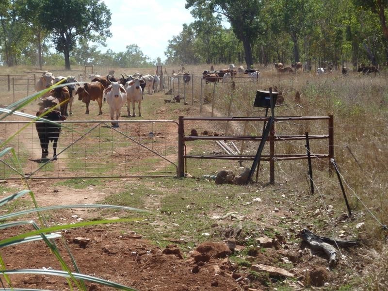 6905 Beasley Road, Katherine NT 0850