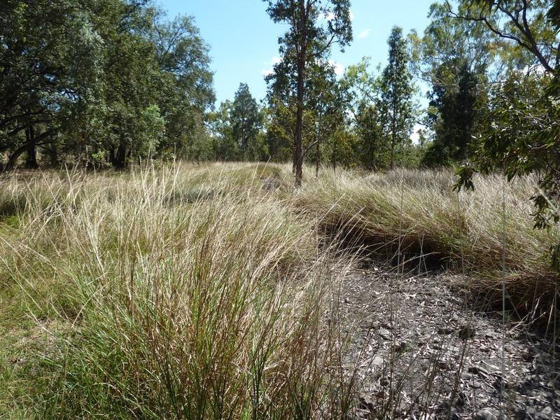 6905 Beasley Road, Katherine NT 0850