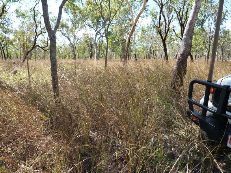 6905 Beasley Road, Katherine NT 0850