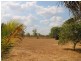 18 Fogarty, Katherine NT 0850