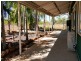 50 Woollybutt Drive, Katherine NT 0850