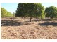 740 Florina Road, Katherine NT 0850