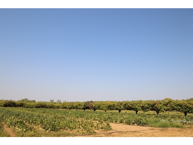 2150 Edith Farms Road, Katherine NT 0850