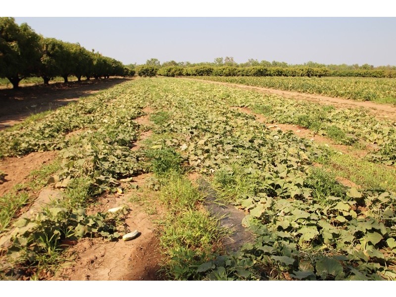 2150 Edith Farms Road, Katherine NT 0850