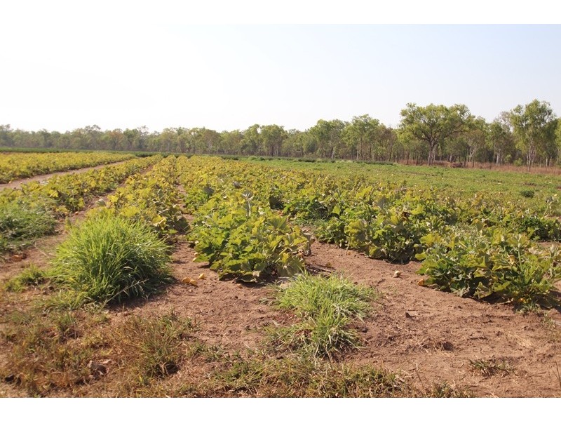 2150 Edith Farms Road, Katherine NT 0850