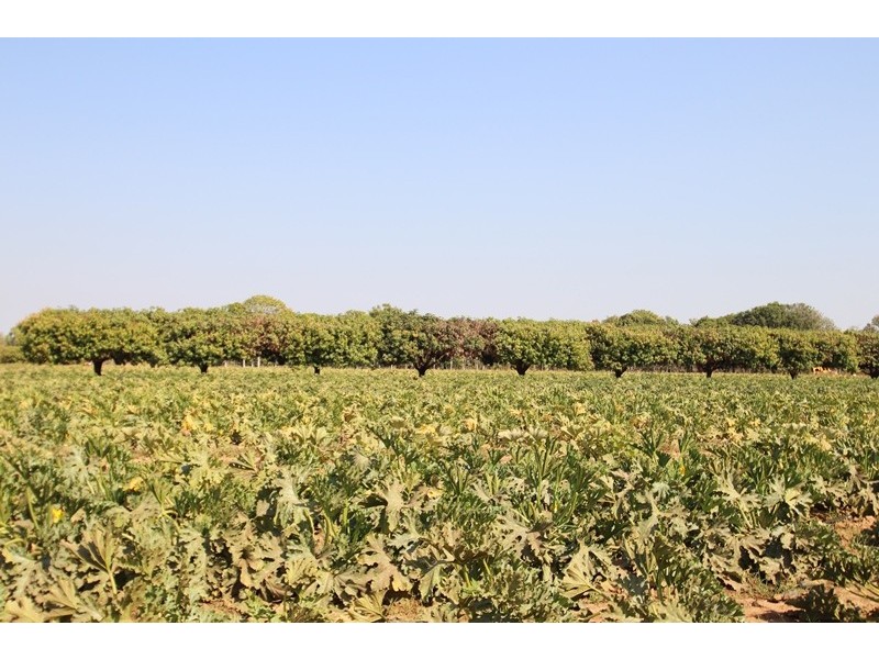 2150 Edith Farms Road, Katherine NT 0850