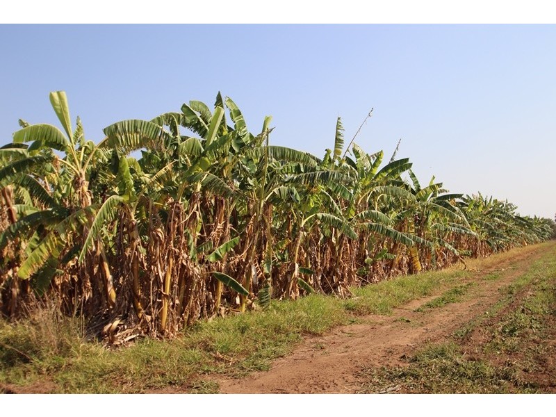 2150 Edith Farms Road, Katherine NT 0850