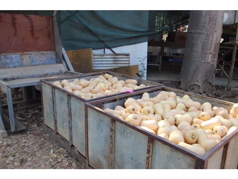 2150 Edith Farms Road, Katherine NT 0850