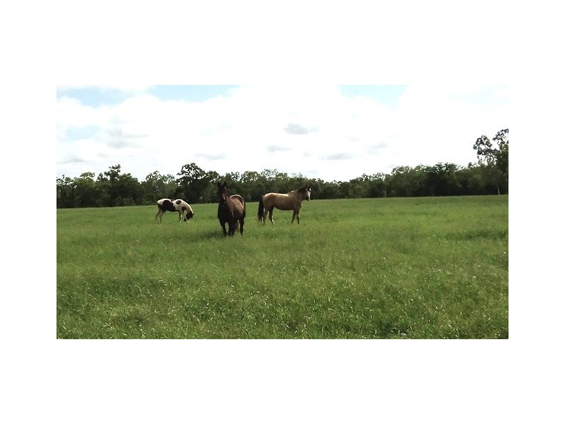 195 Cossack Road, Katherine NT 0850