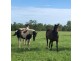 195 Cossack Road, Katherine NT 0850