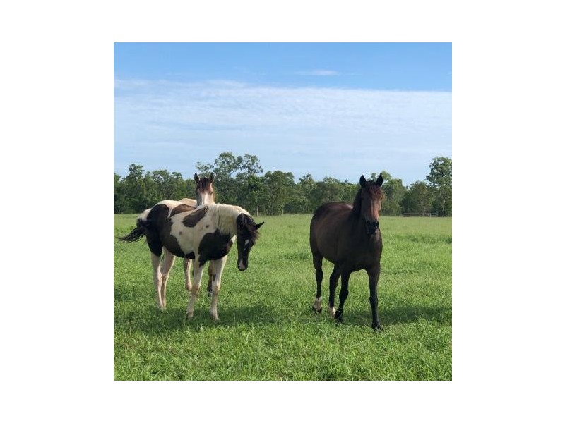 195 Cossack Road, Katherine NT 0850