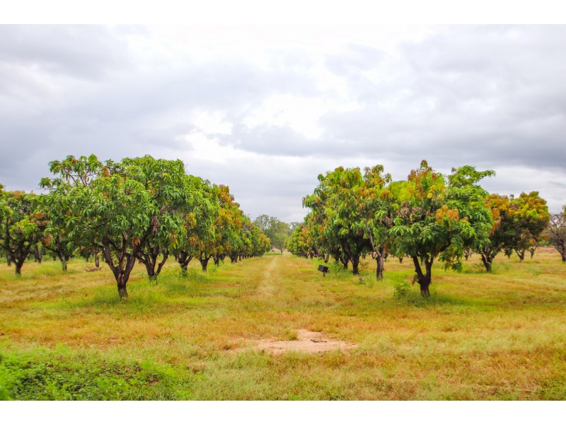 100  Cummings Road, Katherine NT 0850