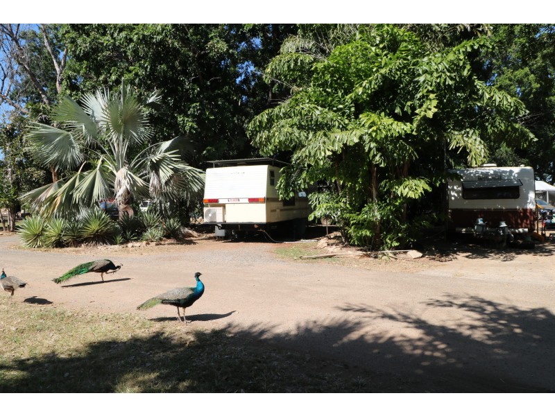 72 Arndt  Road, Katherine NT 0850