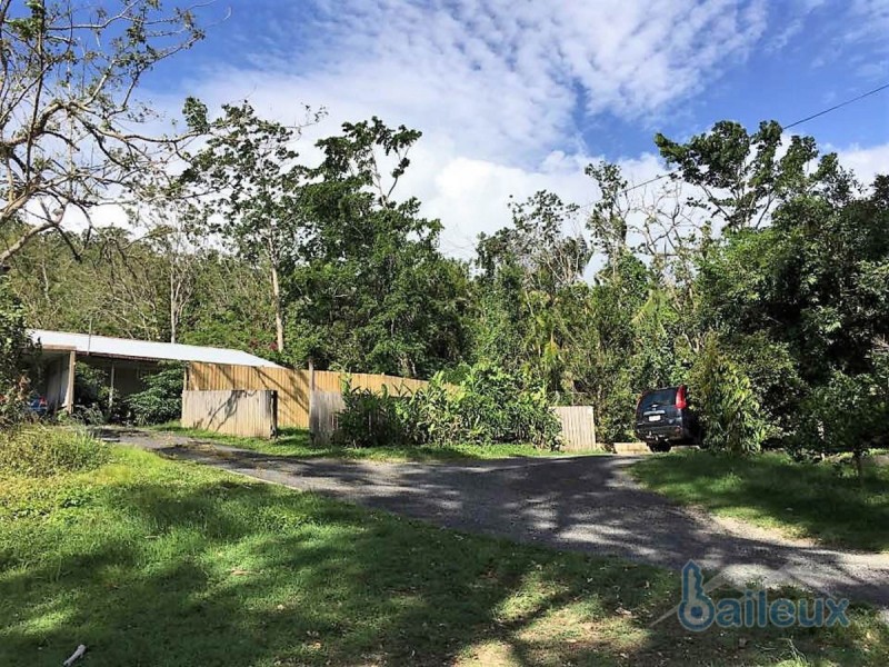 4 TYREE Road, Mount Julian QLD 4800