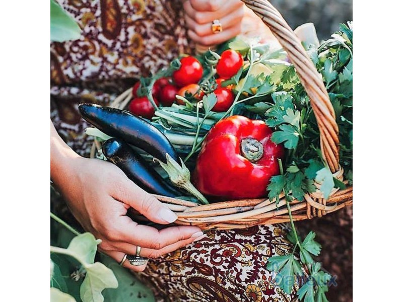 4 TYREE Road, Mount Julian QLD 4800