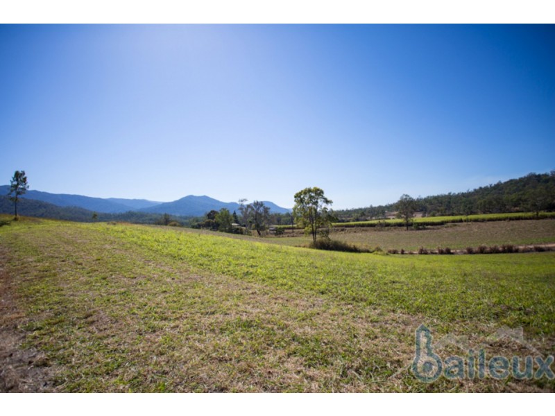 49 De Bonis Road, Netherdale QLD 4756