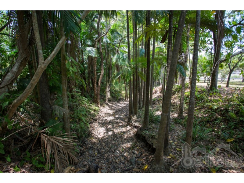 419 Marian-Hampden Road, Hampden QLD 4741