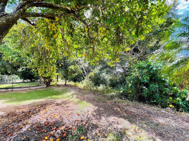 617 Munbura Road, Munbura QLD 4740