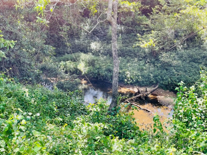 617 Munbura Road, Munbura QLD 4740