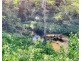 617 Munbura Road, Munbura QLD 4740