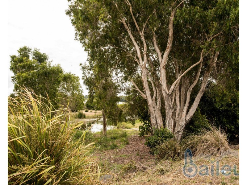 78 Newport Parade, Blacks Beach QLD 4740