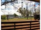 51 Umang St, Tottenham NSW 2873