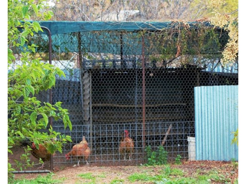 51 Umang St, Tottenham NSW 2873