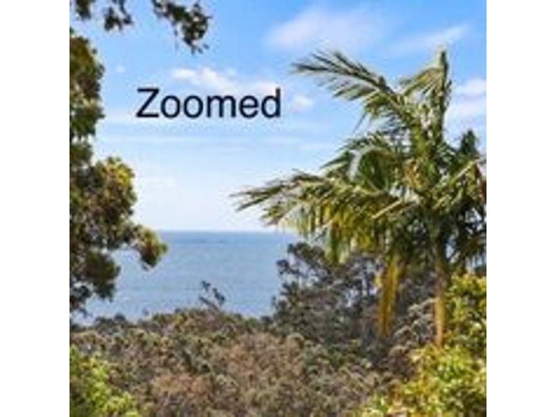 29 Timber Way, Surf Beach NSW 2536