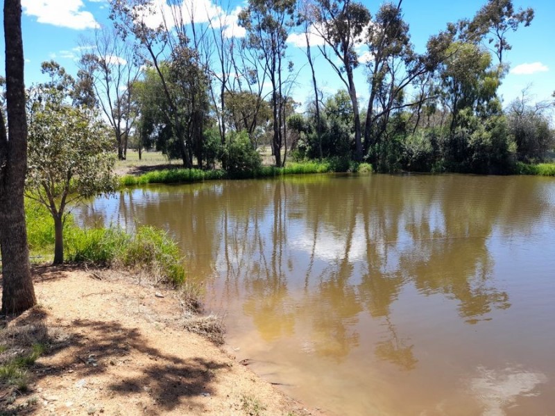 12 Bobadah Road, Tottenham NSW 2873