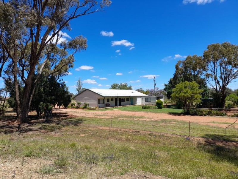 12 Bobadah Road, Tottenham NSW 2873