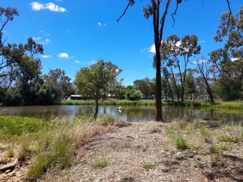 12 Bobadah Road, Tottenham NSW 2873