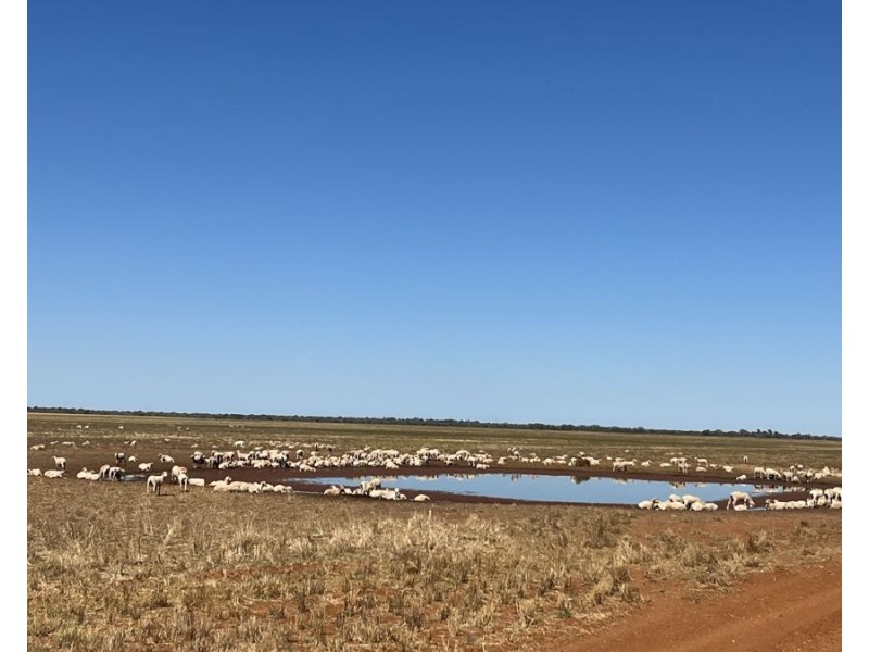 5359 McKinley Road, Hillston NSW 2675