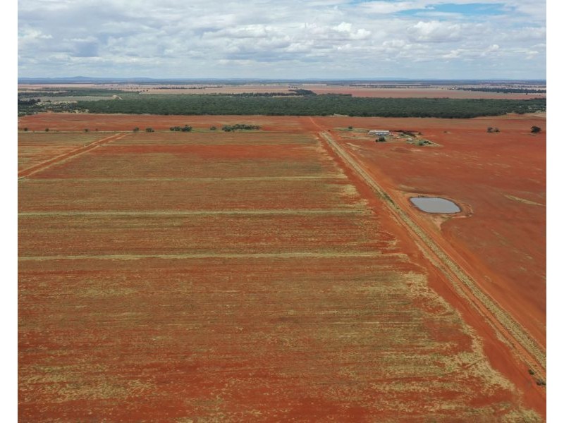 5359 McKinley Road, Hillston NSW 2675