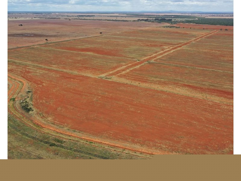 5359 McKinley Road, Hillston NSW 2675