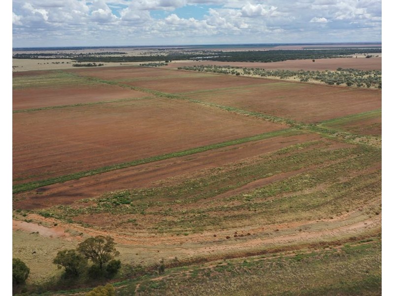 5359 McKinley Road, Hillston NSW 2675