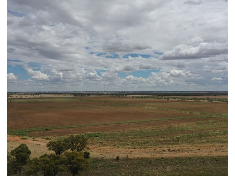 5359 McKinley Road, Hillston NSW 2675