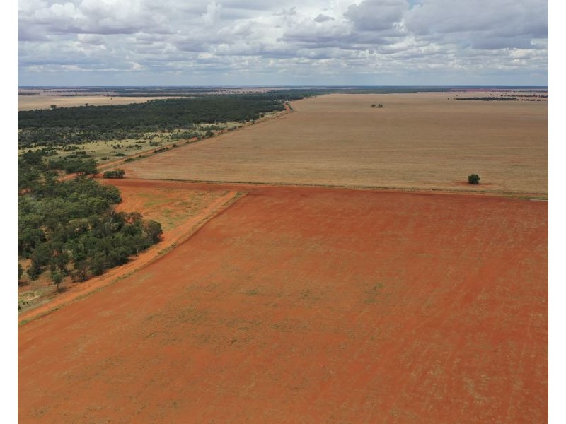 5359 McKinley Road, Hillston NSW 2675