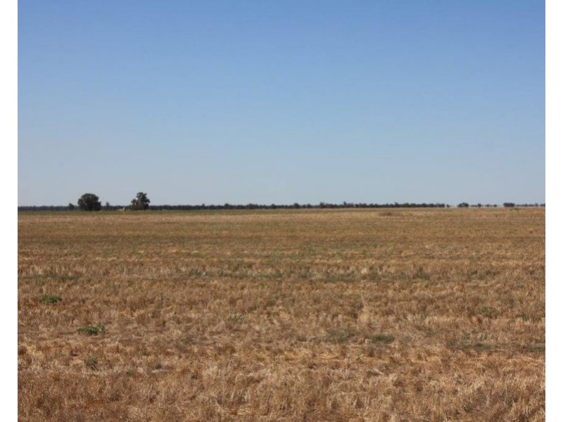 5359 McKinley Road, Hillston NSW 2675