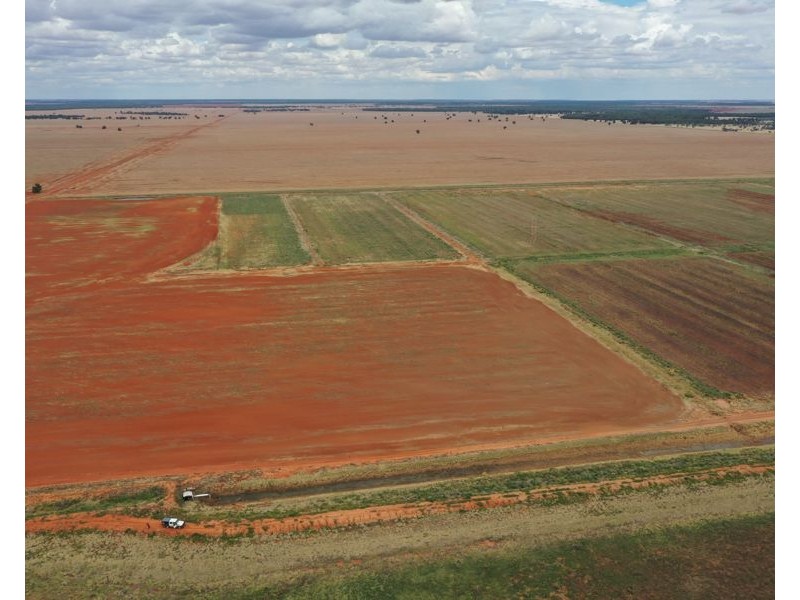 5359 McKinley Road, Hillston NSW 2675