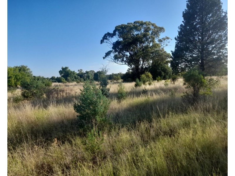 4384 The Bogan Way, Tottenham NSW 2873