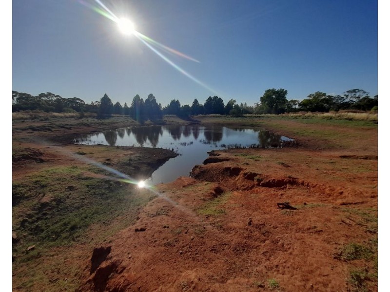 4384 The Bogan Way, Tottenham NSW 2873