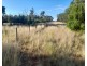 4384 The Bogan Way, Tottenham NSW 2873