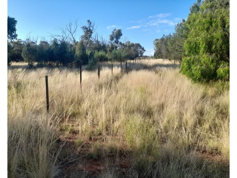 4384 The Bogan Way, Tottenham NSW 2873