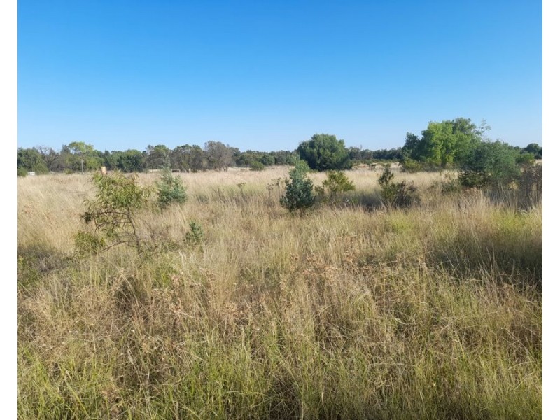 4384 The Bogan Way, Tottenham NSW 2873