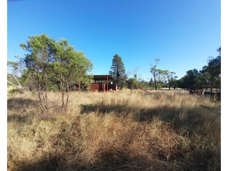 4384 The Bogan Way, Tottenham NSW 2873
