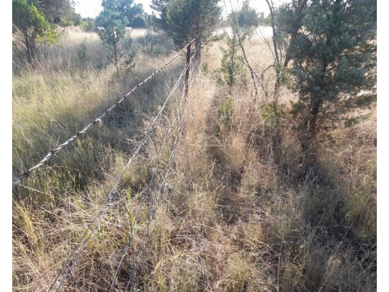 4384 The Bogan Way, Tottenham NSW 2873